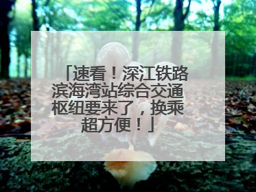 速看！深江铁路滨海湾站综合交通枢纽要来了，换乘超方便！