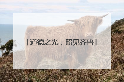 道德之光，照见齐鲁