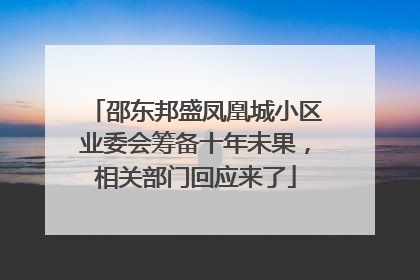 邵东邦盛凤凰城小区业委会筹备十年未果，相关部门回应来了