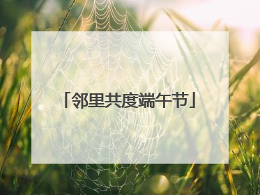 邻里共度端午节