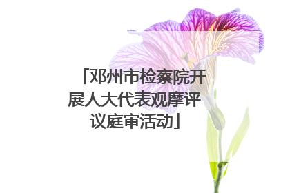 邓州市检察院开展人大代表观摩评议庭审活动
