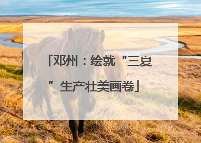 邓州：绘就“三夏”生产壮美画卷