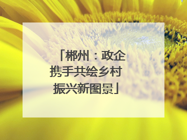 郴州：政企携手共绘乡村振兴新图景