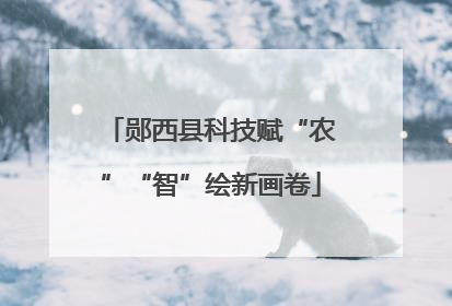 郧西县科技赋“农”“智”绘新画卷