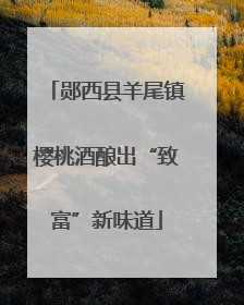 郧西县羊尾镇樱桃酒酿出“致富”新味道