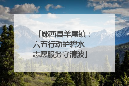 郧西县羊尾镇：六五行动护碧水 志愿服务守清波