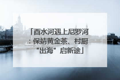 酉水河遇上尼罗河：保靖黄金茶、村厨“出海”启新途