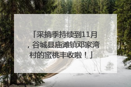 采摘季持续到11月，谷城县庙滩镇邓家湾村的蜜桃丰收啦！