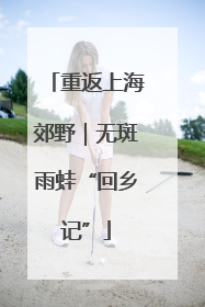 重返上海郊野｜无斑雨蛙“回乡记”