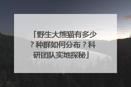野生大熊猫有多少？种群如何分布？科研团队实地探秘