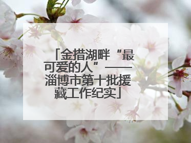 金措湖畔“最可爱的人”——淄博市第十批援藏工作纪实