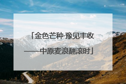 金色芒种·豫见丰收——中原麦浪翻滚时