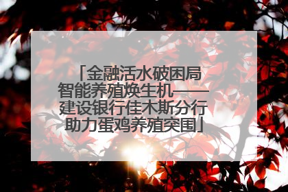 金融活水破困局 智能养殖焕生机——建设银行佳木斯分行助力蛋鸡养殖突围