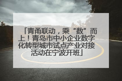 青甬联动，乘“数”而上！青岛市中小企业数字化转型城市试点产业对接活动在宁波开班