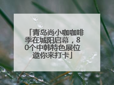 青岛尚小咖咖啡季在城阳启幕，80个中韩特色展位邀你来打卡