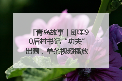青岛故事｜即墨90后村书记“功夫”出圈，单条视频播放量过600万
