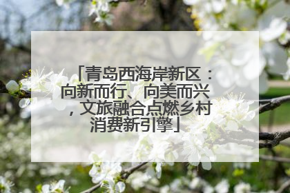 青岛西海岸新区：向新而行、向美而兴，文旅融合点燃乡村消费新引擎