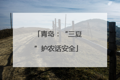 青岛：“三夏”护农话安全