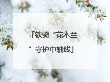 铁骑“花木兰”守护中轴线