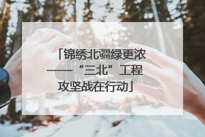 锦绣北疆绿更浓——“三北”工程攻坚战在行动