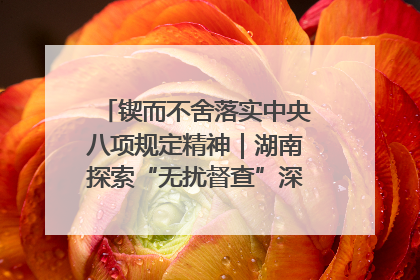 锲而不舍落实中央八项规定精神｜湖南探索“无扰督查”深化基层减负