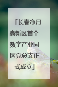 长春净月高新区首个数字产业园区党总支正式成立