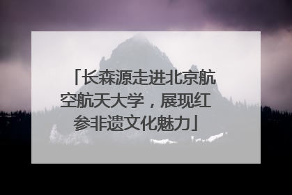 长森源走进北京航空航天大学，展现红参非遗文化魅力
