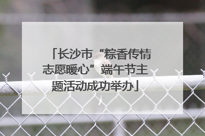长沙市“粽香传情志愿暖心”端午节主题活动成功举办