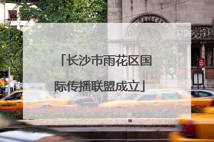 长沙市雨花区国际传播联盟成立