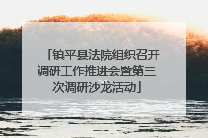 镇平县法院组织召开调研工作推进会暨第三次调研沙龙活动