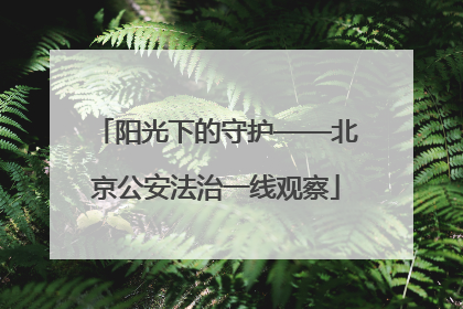 阳光下的守护——北京公安法治一线观察