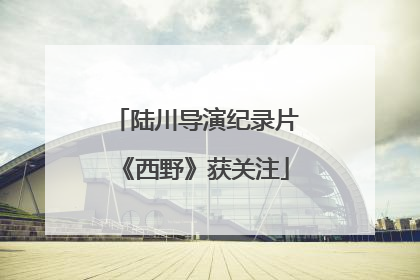 陆川导演纪录片《西野》获关注