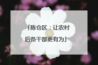 陈仓区：让农村后备干部更有为