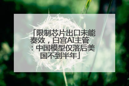 限制芯片出口未能奏效，白宫AI主管：中国模型仅落后美国不到半年