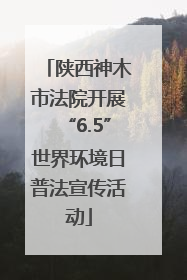 陕西神木市法院开展“6.5”世界环境日普法宣传活动