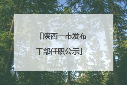 陕西一市发布干部任职公示