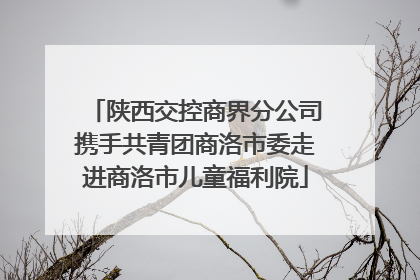 陕西交控商界分公司携手共青团商洛市委走进商洛市儿童福利院