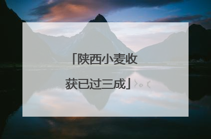 陕西小麦收获已过三成