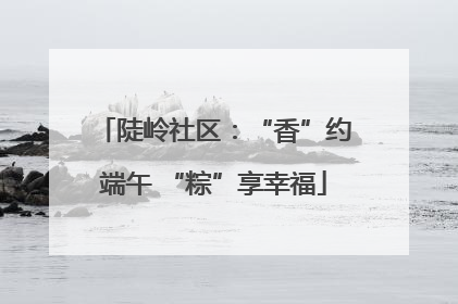 陡岭社区：“香”约端午 “粽”享幸福