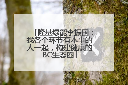 隆基绿能李振国：找各个环节有本事的人一起，构建健康的BC生态圈