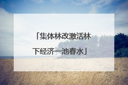 集体林改激活林下经济一池春水