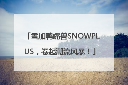 雪加鸭嘴兽SNOWPLUS，卷起潮流风暴！