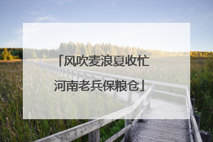 风吹麦浪夏收忙 河南老兵保粮仓