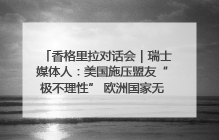 香格里拉对话会｜瑞士媒体人：美国施压盟友“极不理性” 欧洲国家无意与中国“脱钩断链”