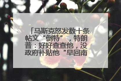 马斯克怒发数十条帖文“倒特”，特朗普：好好查查他，没政府补贴他“早回南非老家”了