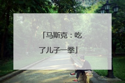 马斯克：吃了儿子一拳