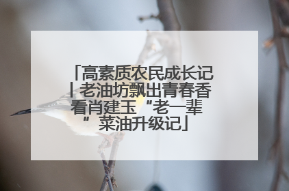 高素质农民成长记丨老油坊飘出青春香 看肖建玉“老一辈”菜油升级记