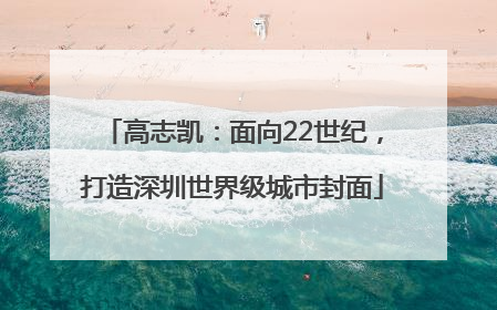 高志凯：面向22世纪，打造深圳世界级城市封面