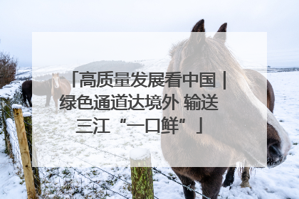 高质量发展看中国｜绿色通道达境外 输送三江“一口鲜”