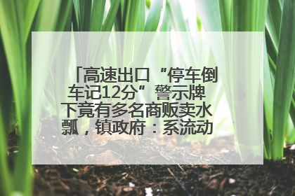 高速出口“停车倒车记12分”警示牌下竟有多名商贩卖水瓢，镇政府：系流动摊位，已多次劝离